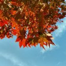 제이라라필라테스 - 달성군 테크노상업로 82 | 제이라라필라테스