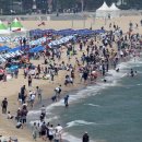 해운대해수욕장 이미지