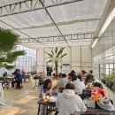 농업회사법인 ( 주 ) 참풍경 | 전남 담양 제주도가 아닌 담양에서 즐기는 실내 감귤따기 "꿈에그린체험농장" 체험 후기