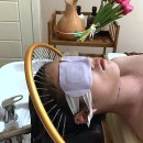 순환체형관리