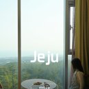 셀레늄스파 | 제주 호캉스 추천 제주 WE 위호텔 객실 수영장 후기