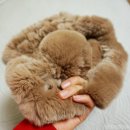 F0024 | 따뜻한 겨울 머플러 , 넥워머 추천 ! 온앤온 토끼털목도리