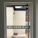 스테이인포시즌 이미지