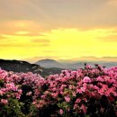 지리산 - 부천시 소사구 은성로 40 | 지리산