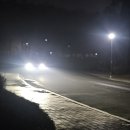 성공목장 | 강원도 / 평창 겨울 대관령 양떼목장 눈치게임 성공후기