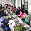 엉게나무 이미지