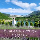 꽃수레화원 | 국내여행지 추천 한국의 스위스 동해ㅣ무릉별유천지ㅣ라벤더축제, 포토존