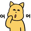 린생사진관 이미지