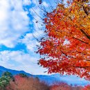 청계산수변공원 이미지