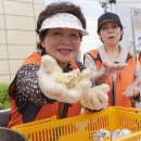 광산-송정-광산-33 이미지