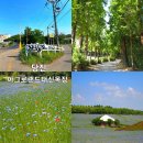 6월의 목장 | 당진 아그로랜드 태신목장 6월 3일 방문 후기