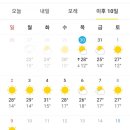 사랑손세차장 이미지