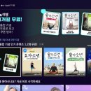 다큐앤아트 뉴시스