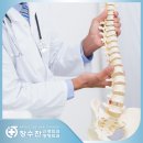 장수찬신경외과