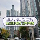 씨유천안청당원룸점 | 인조대리석 싱크대 상판 수리 복원 보수(크랙, 갈라짐) 천안아파트 청당마을벽산블루밍아파트 시공 후기