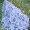 무주읍229 이미지