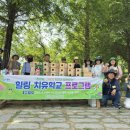 치유하다 이미지