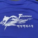 예건태권스쿨 이미지