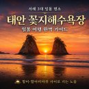 할미섬펜션 | 🌅 태안 꽃지해수욕장 일몰 여행 완벽 가이드 — 서해 3대 낙조, 할미·할아비바위 사이로 지는 황금빛 노을