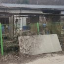 사체농장 이미지