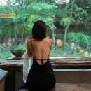 야원목장 이미지