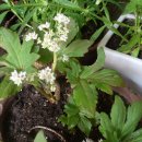 노은초등학교 이미지