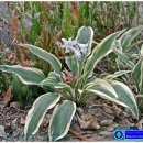 딜라이트 이미지