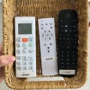 하늘내음 키즈풀빌라 이미지