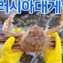 솔밭 씨푸드