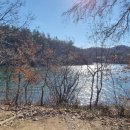 팔공산올레길 6코스 이미지