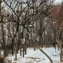 상도근린공원 해와달 어린이집 이미지