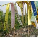 진주1단지경로당 Daum카페