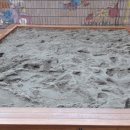 서울창천초등학교 네이버블로그