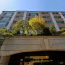 방배로30길 41 이미지