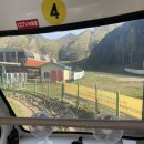 하궁목장 | [강원도 평창] 모나용평 애니포레 알파카 목장(모노레일 꿀잼)