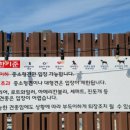 멍아일랜드 이미지