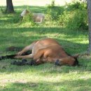 영라이프 이미지