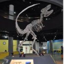 타르보사우루스-1 이미지