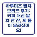 하루한잔 | 하루미츠 말차브리즈 후기: 커피 대신 말차 한 잔, 제 몸이 달라졌어요!