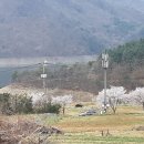 와보라 펜션 이미지