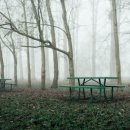 안개티천 이미지