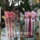 가나다한의원 이미지