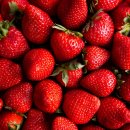 케이에스팜(주) 이미지