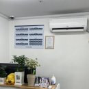 더샤인디테일 이미지