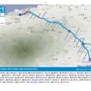 표선 교차로 3 이미지