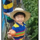 이수축산농장 이미지