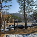 맑음펫 | 홍천 1박 2일 여행 1일차_소노펫/소노펫 펫그라운드