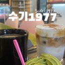 수기1977 이미지