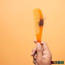 헬스케어 인치바이인치 | 맥주효모샴푸 바이아우어 후기 부작용 내돈내산후기 까지 총정리