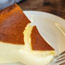 기장애견 | [부산 기장] 브라운피크닉, 벚꽃뷰 애견동반 카페 바스크 치즈케이크 후기